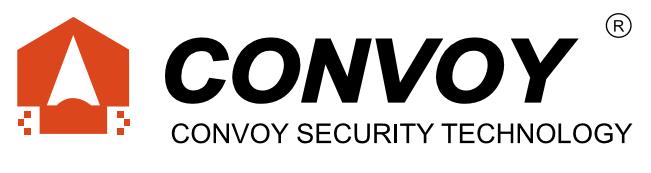 Conventional Detector